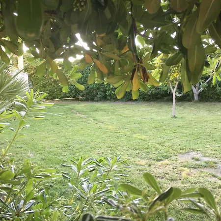 Bed and breakfast Striari 3*