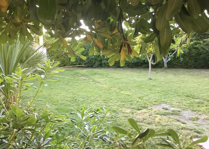 Nocleg ze śniadaniem Striari 3*